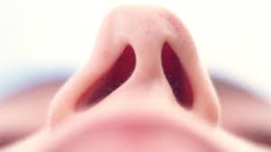 Deviated Nasal Septum Treatment Deviated Nasal Septum Treatment