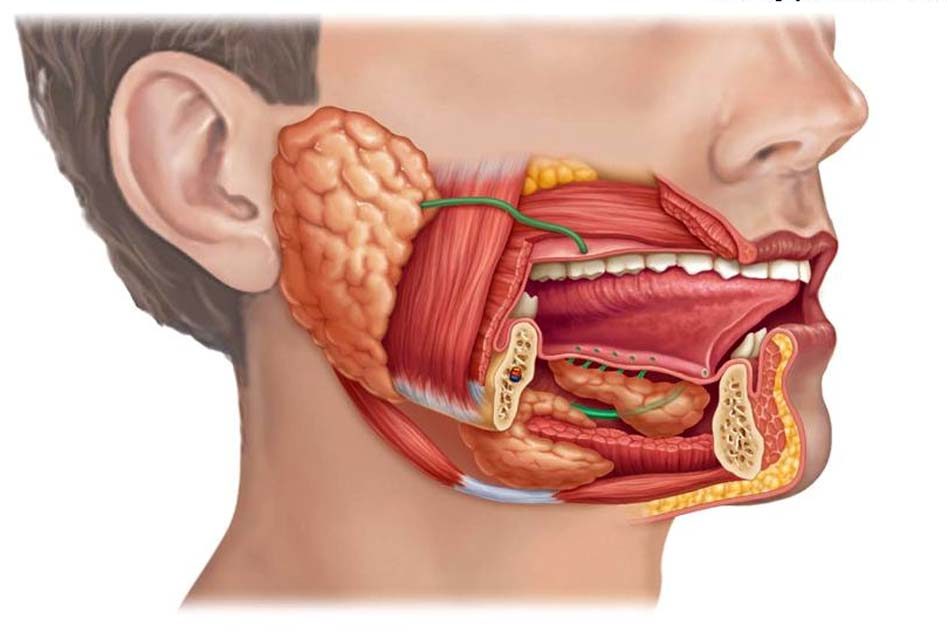 Sudden Hearing Loss in Hyderabad